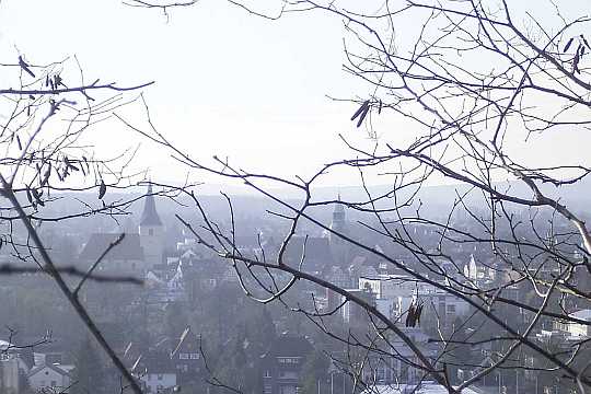 Melle im Januar